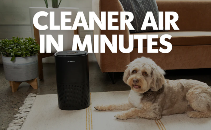 The Ultimate Air Purifier for Pet Owners in 2025: Why PuroAir Stands Above the Rest